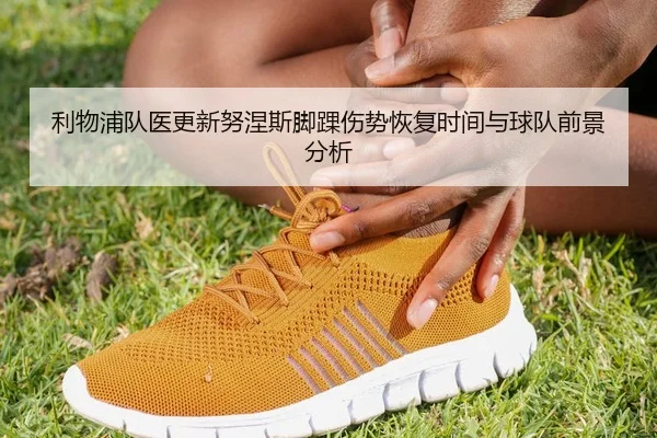 利物浦队医更新努涅斯脚踝伤势恢复时间与球队前景分析