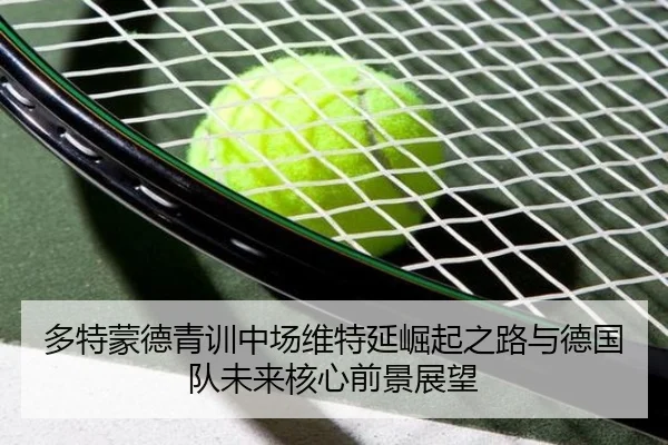 多特蒙德青训中场维特延崛起之路与德国队未来核心前景展望